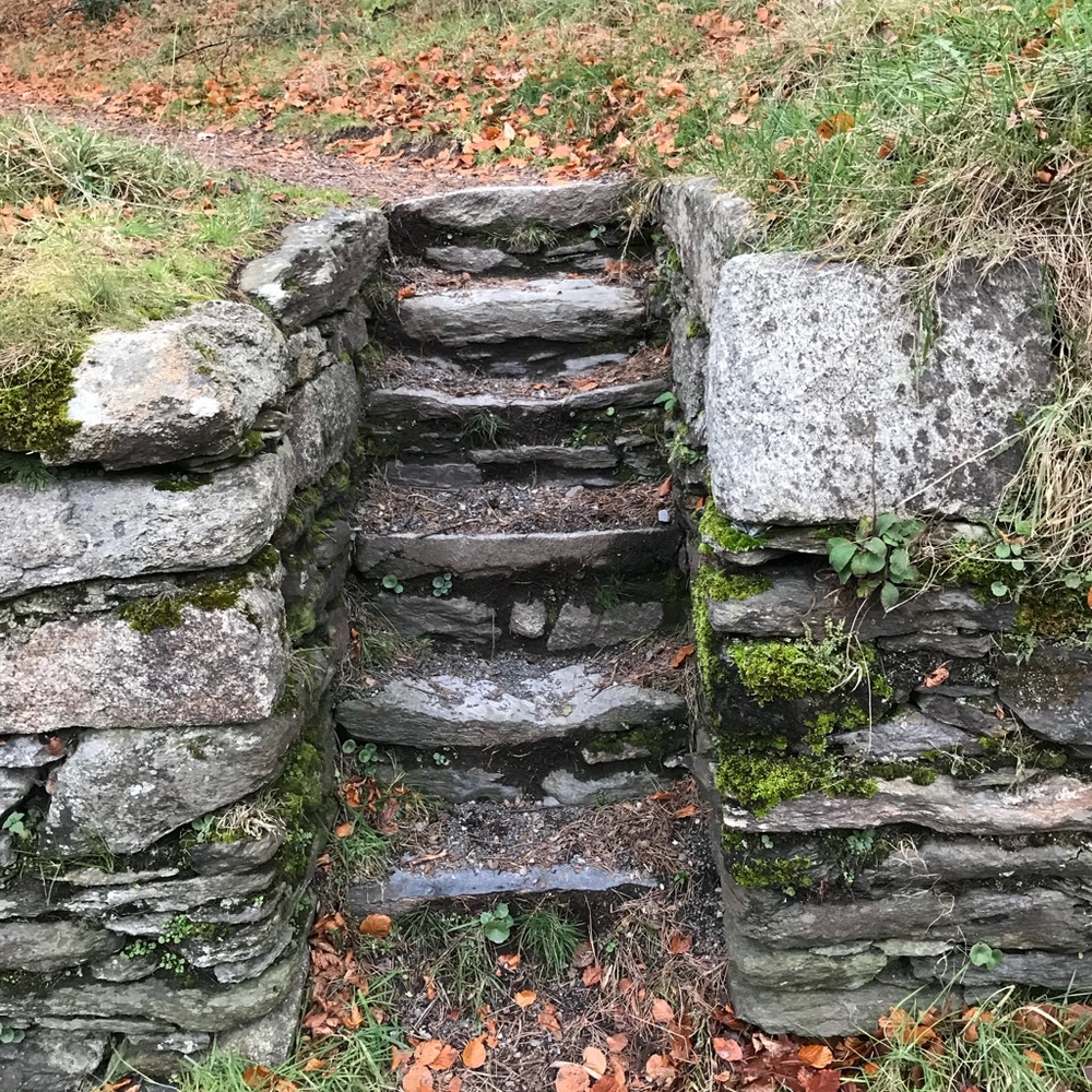 Meet your Posher, Cassie